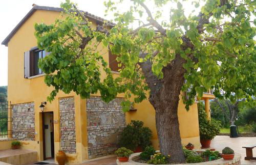 Al Grande Gelso - Foto 10