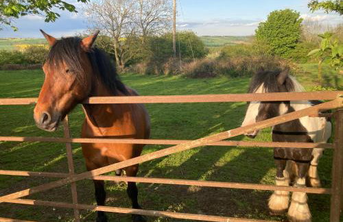 The Smithy - Foto 27