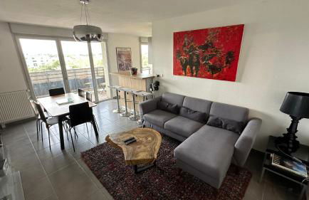 Appartement coeur toulousain avec 2 chambres - Photo 1