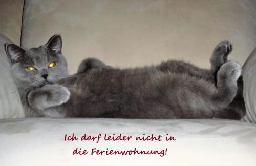 Apartment Zeitreise - Foto 31