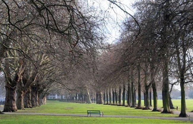 Amazing Riverside Boheme Home in SW London! - Foto 12