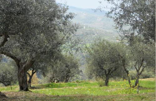 Casale Il Gheppio - Foto 3