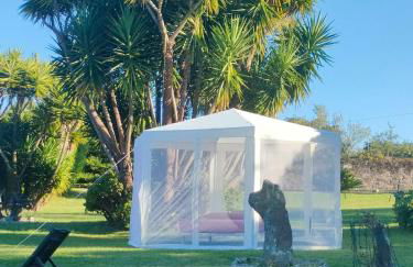 Lugar da Pereira - Foto 28