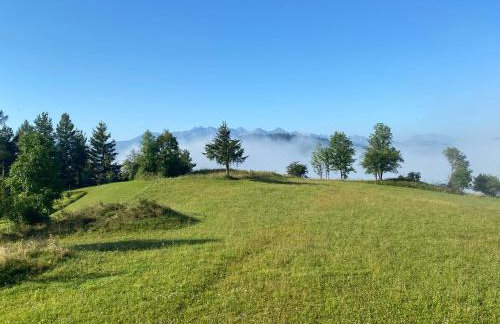 Apartament Pod Zamczyskiem - Photo 4