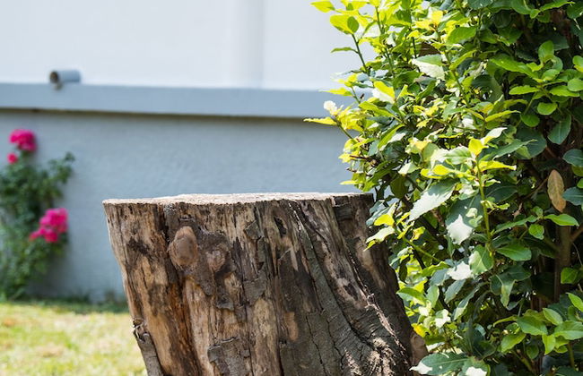 Villa Mirta - Foto 28