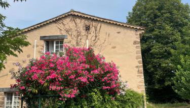 Le mas de la Cognasse - Foto 2