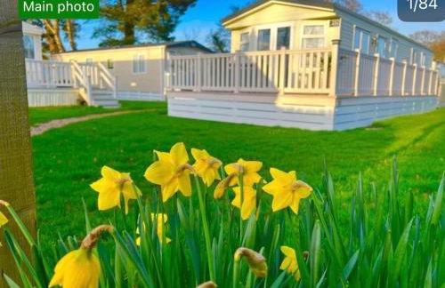 Forest hart - Foto 1