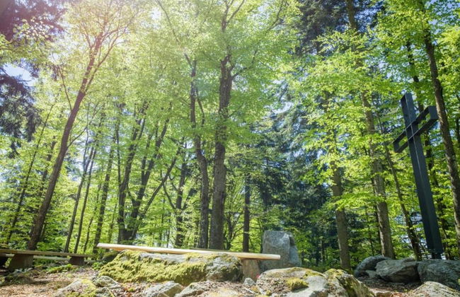 Apartment in Freyung Near Bavarian Forest - Foto 27