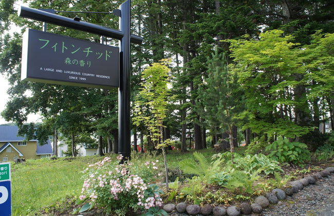 Phytoncide Morinokaori - Foto 32