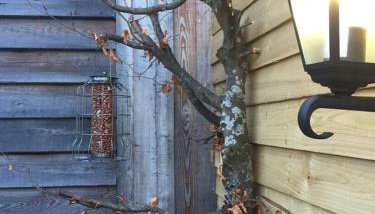 The Barn | Aberlour - Foto 5