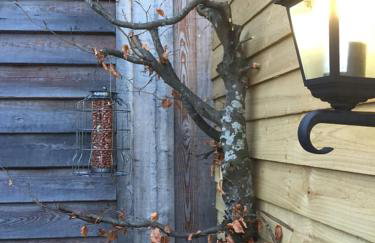 The Barn | Aberlour - Foto 5