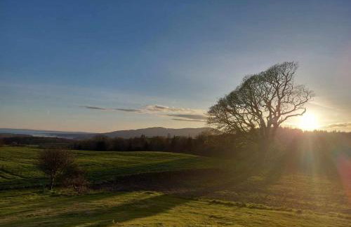 Disdow House - Foto 68