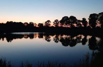 Orzechowy Dworek - Foto 21