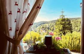 Flügels ReBi-Baude - Foto 64