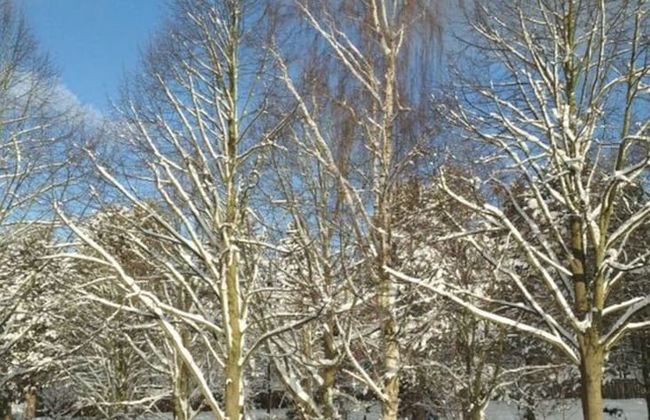 Am Konigsberg, Luebeck - Foto 20