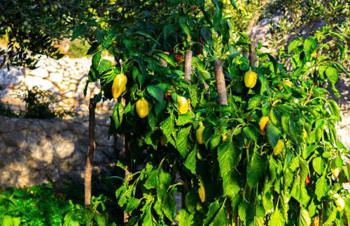 Holiday home Oaza - Foto 43