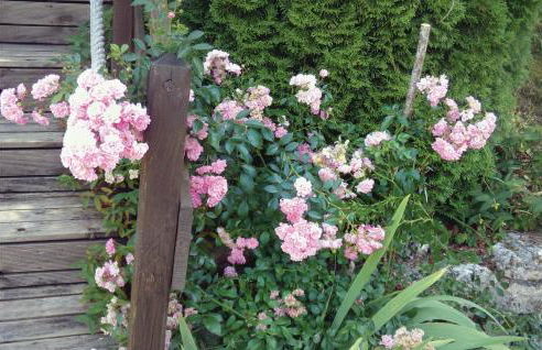 Awesome Home In Blis Et Born - Foto 22