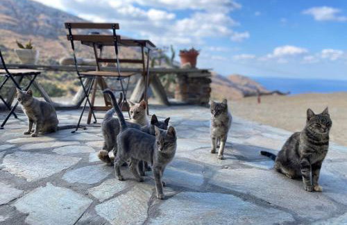 RURAL GUEST HOUSE, quiet stay in nature with Sea view - Foto 29