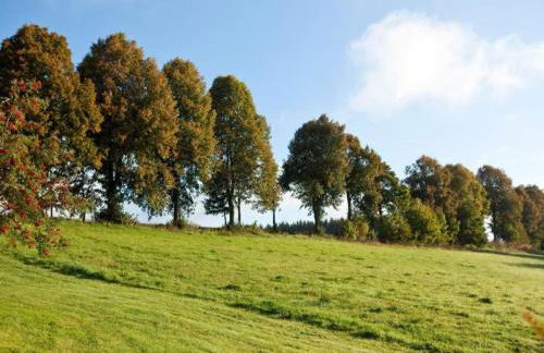 Holiday home in Bestwig with ski-storage - Foto 25