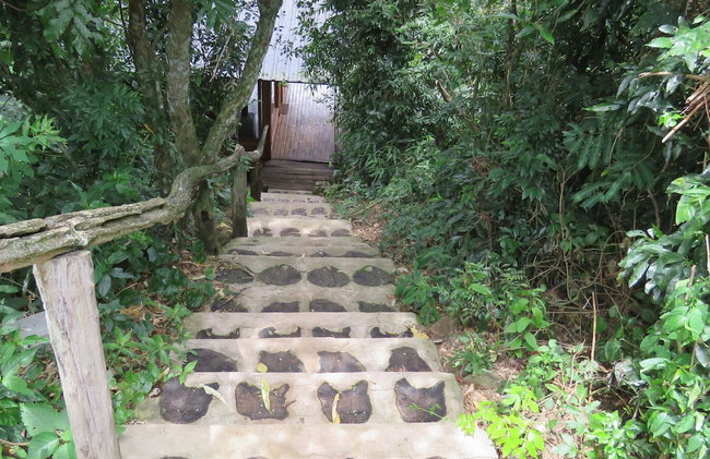 Piedra y Agua Eco Lodge - Foto 11