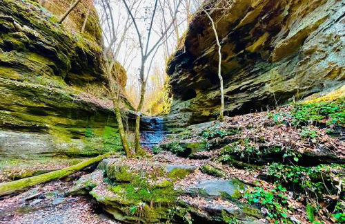 Romantic 1BR Cabin w Hot Tub Near Carbondale - Foto 26