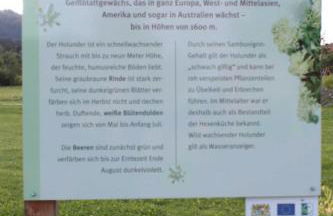 Fewo mit malerischem Bergblick im - Foto 8