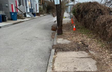 Pinksburgh pet-friendly by Strip, stadium, skyline - Foto 24