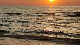 Dom w Trawach - Foto 3