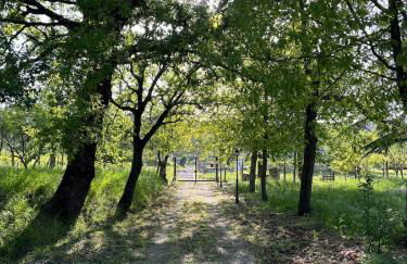 Appartamento in casale Umbro vicino Orvieto - Allerona - Foto 8