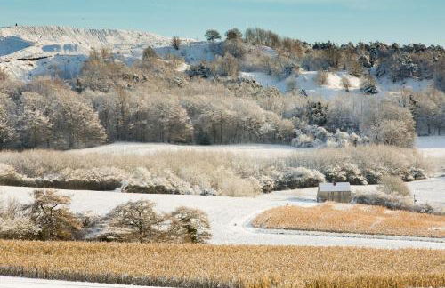 The Organic Cotswolds Cowshed - Photo 68