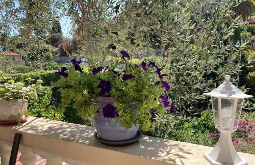 Studio Villa la Cigale avec grande Terrasse - Foto 27