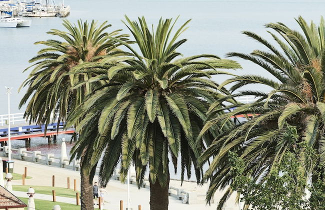 Anchor Geelong - Photo 47