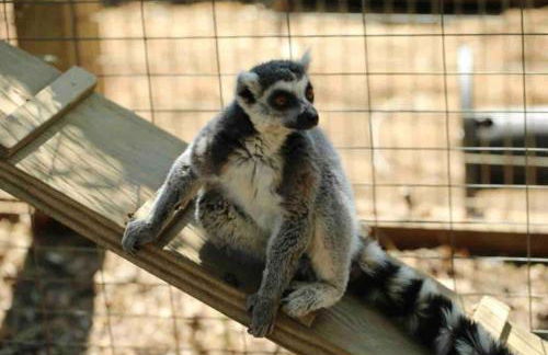 Hot Tub Nature Retreat 2 min to Bryce Resort - Foto 23