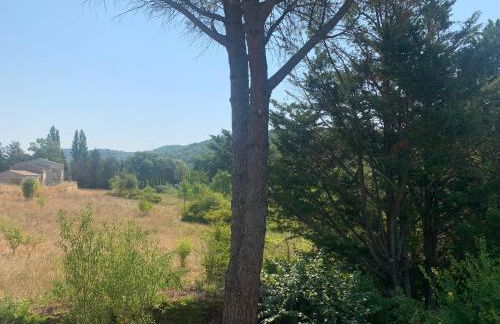 Chez Pierre - Foto 13