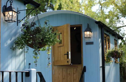 Upper Gelli Luxury Holiday Lodge, Converted Dairy & Cosy Shepherds Huts - Photo 50