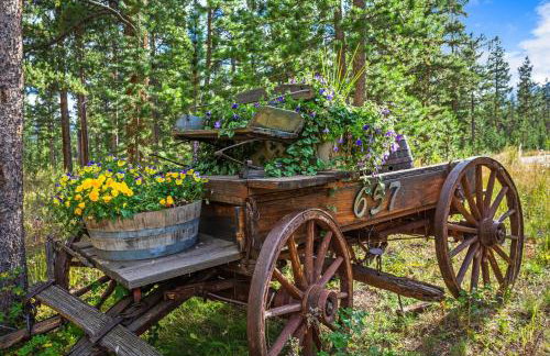 Stagecoach Cabin home - Foto 50