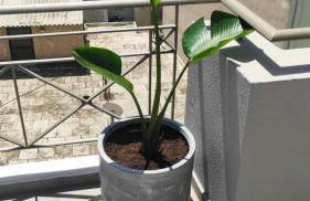 My Home in Greece - Photo 64