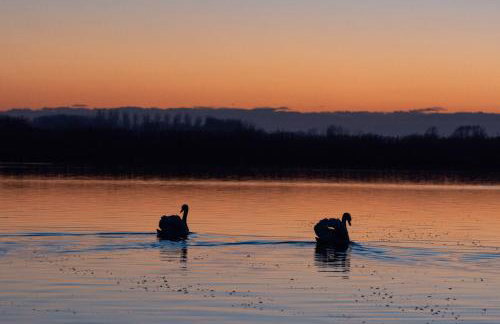 Oulton Broads New Build Holiday Home 3 Bedroom- 3 Bathroom with Free Parking - Foto 51