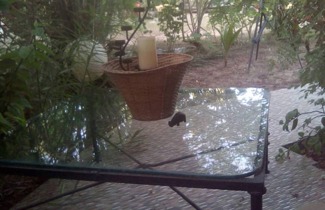 Cottage Sleeps 6 With Private Patios - Foto 26