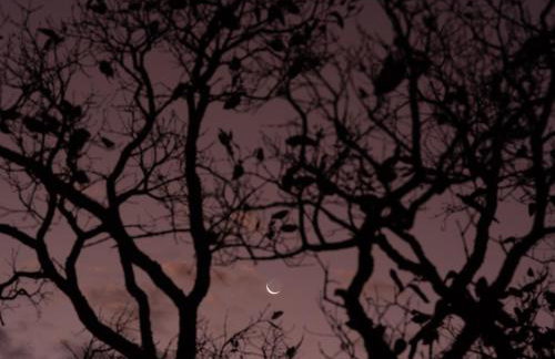 Casa Mandaçaia - Foto 38