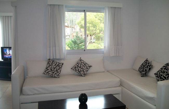 Avutarda de Carilo - Photo 39