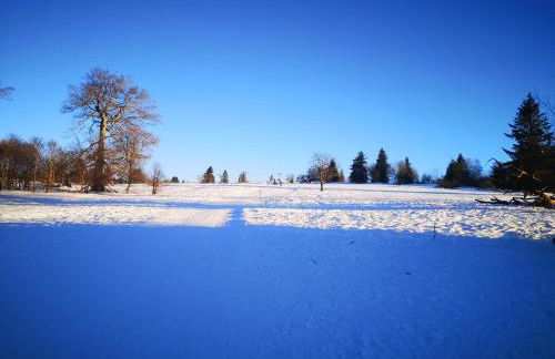 Chalet à L'Orée du Bois - Foto 41
