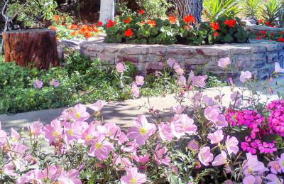 Enalion House - Photo 28