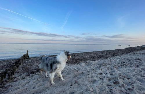 Die lütte Welle Grömitz - Foto 8