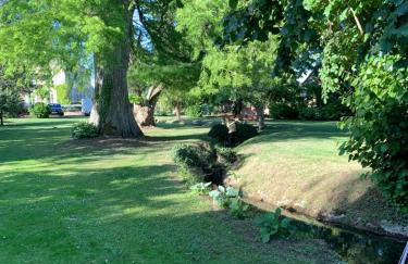 La Grande Maison - Photo 68