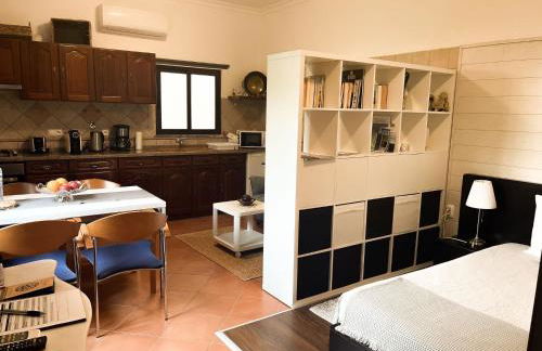 AL Ribeirinho - Foto 9