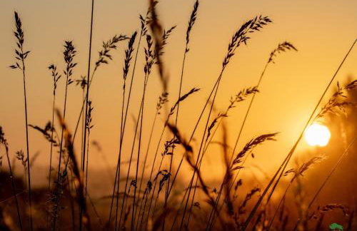 TATANKA Dom w Puszczy & SPA na Polanie - Foto 35
