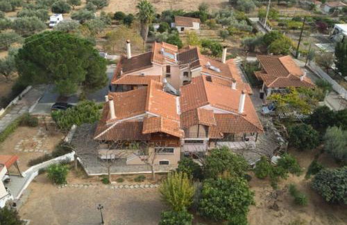 Villa - Farmhouse - Photo 7