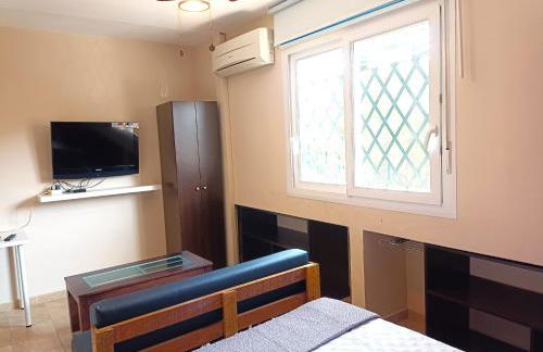 Flamencos del cerrado - Photo 43