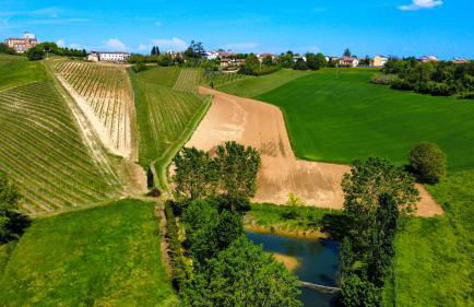 Agriturismo Le Tre Rose - Cantina Zanello - Foto 52